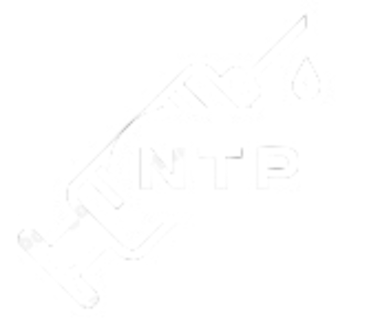 The Sanctuary Logo